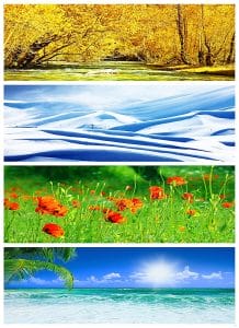 Dört Mevsim Gergi Tavan Resimleri