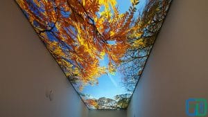 Ağaç Gök Yüzü Koridor Gergi Tavan Modelleri