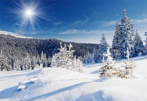 Kış Manzaralı Gergi Tavan Resimleri